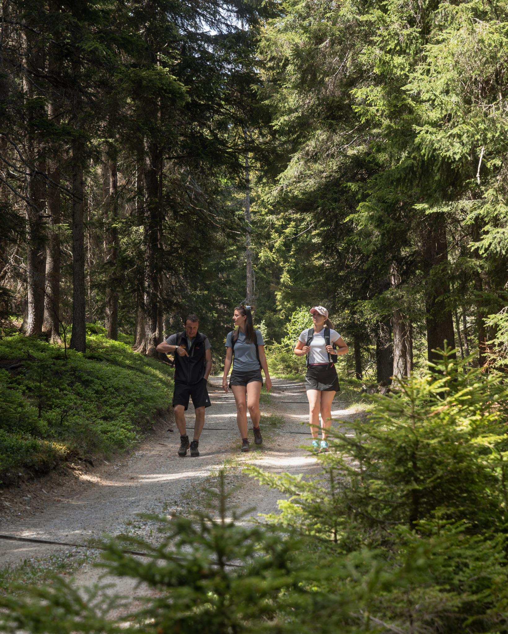 Wandergruppe unterwegs auf einem schattigen Waldweg inmitten dichter Bäume