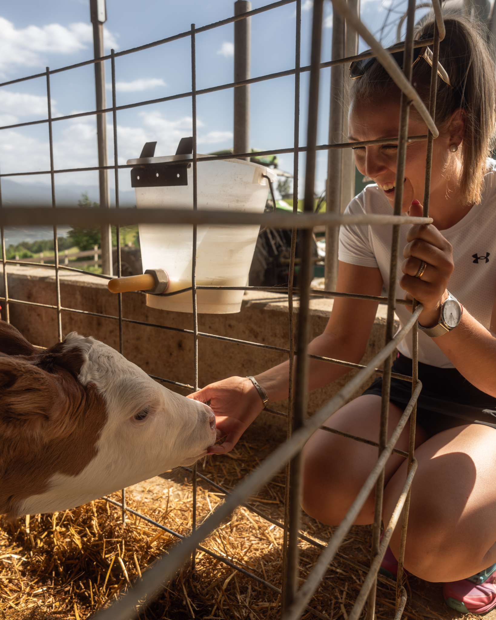 Frau füttert ein Kalb durch das Gitter eines hellen Stalls